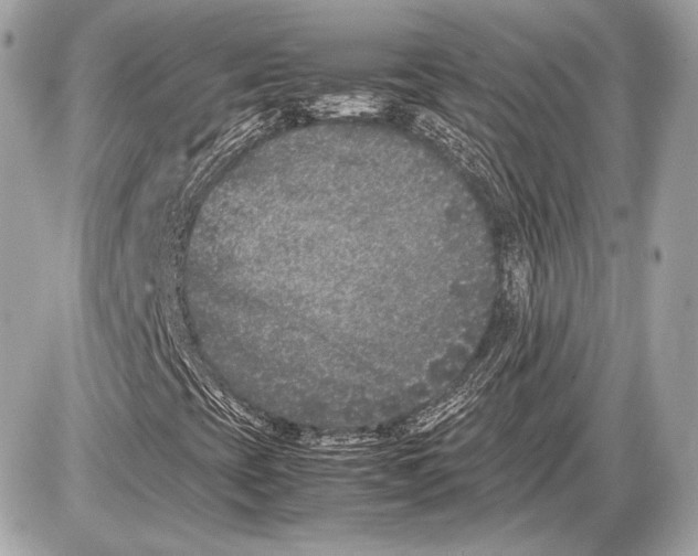 X0000085811393200704091554