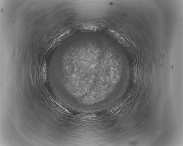 X0000085811394200704091554