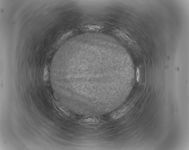 X0000085811395200704091554