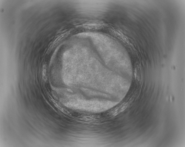 X0000085811396200704091554