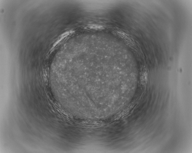 X0000085811397200704091554