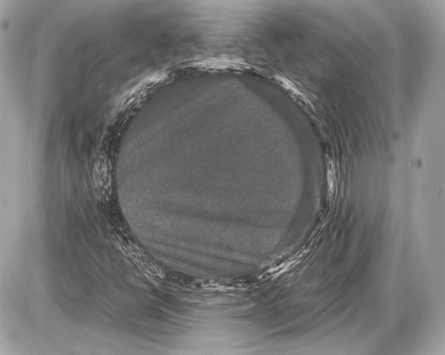 X0000085811398200704091554