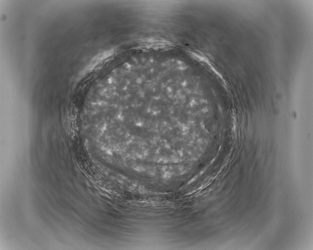 X0000085811399200704091554