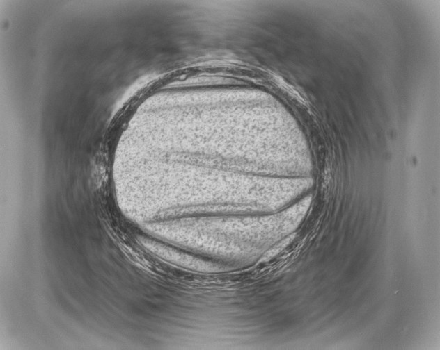 X0000085811400200704091554