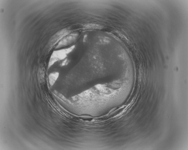 X0000085811401200704091554