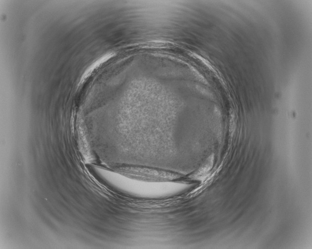 X0000085811402200704091554