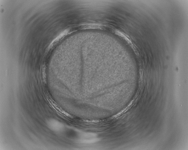 X0000085811403200704091554