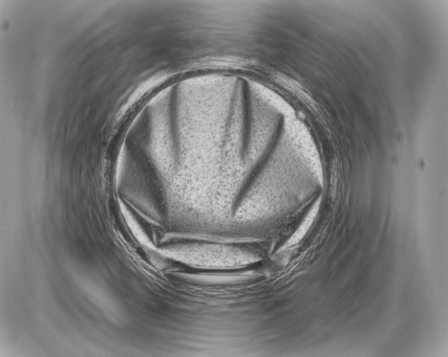 X0000085811404200704091554