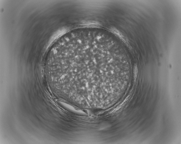 X0000085811405200704091554