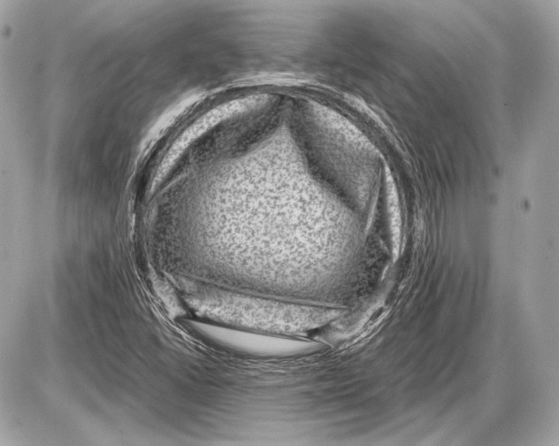 X0000085811406200704091554