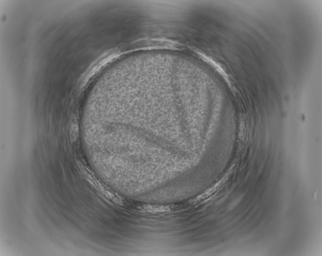 X0000085811407200704091554