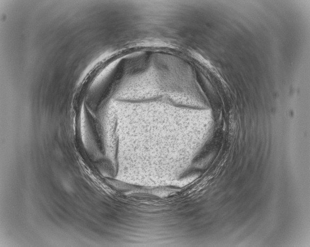 X0000085811408200704091554