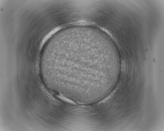 X0000085811410200704091555