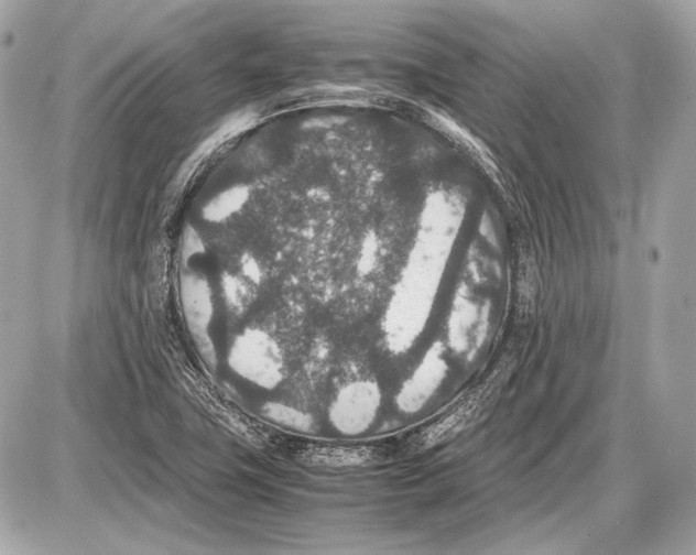 X0000085811411200704091555