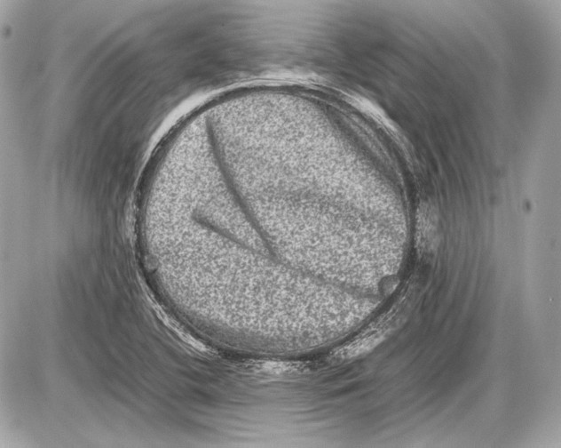 X0000085811412200704091555