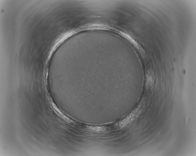 X0000085811413200704091555