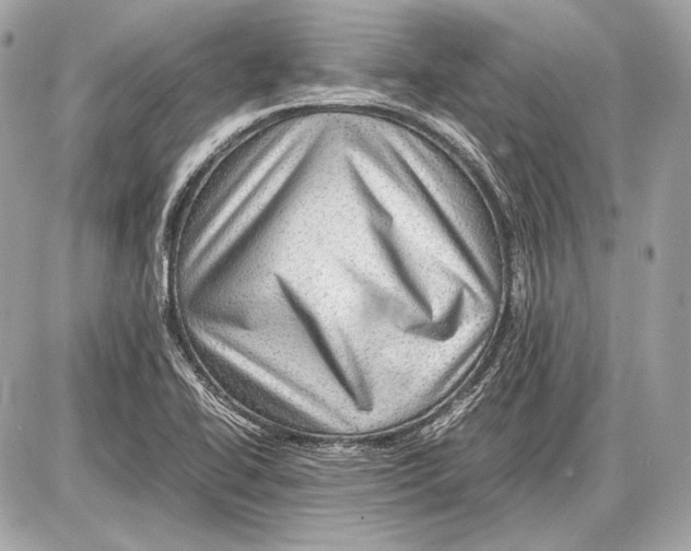 X0000085811414200704091555