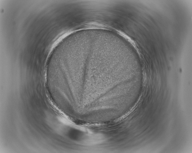 X0000085811415200704091555