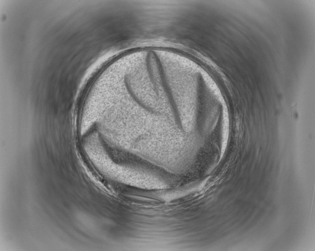 X0000085811416200704091555