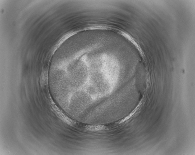 X0000085811417200704091555