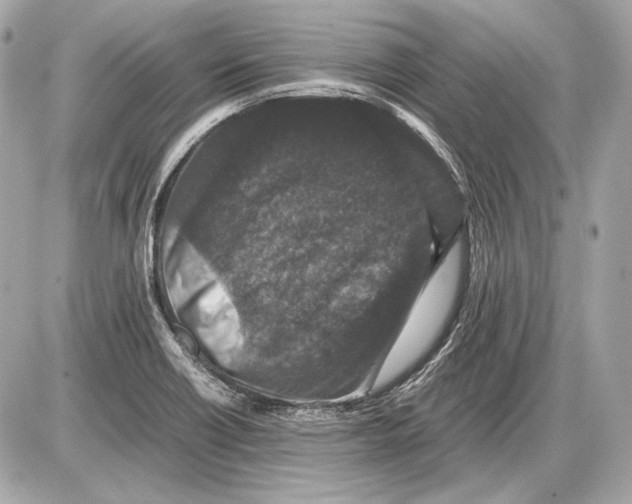 X0000085811418200704091555