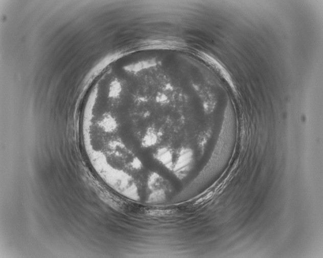 X0000085811419200704091555