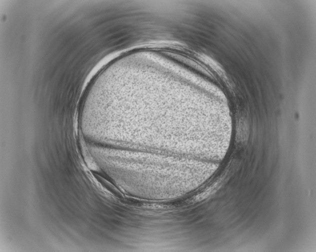 X0000085811420200704091555