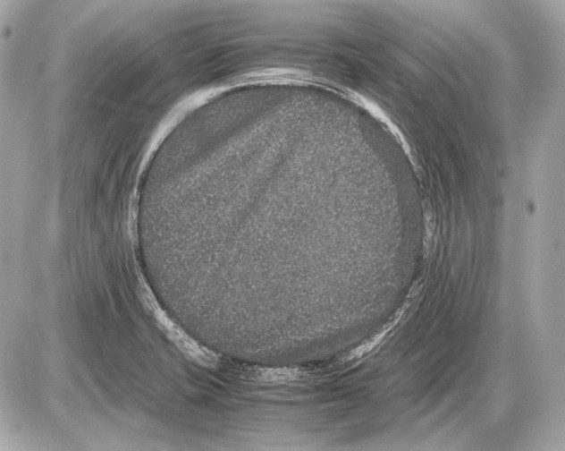 X0000085811421200704091555