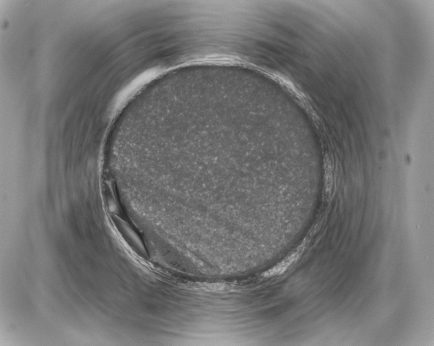 X0000085811422200704091555