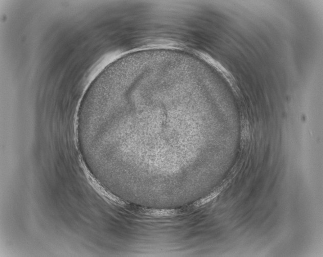 X0000085811423200704091555