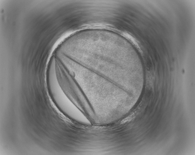 X0000085811424200704091555