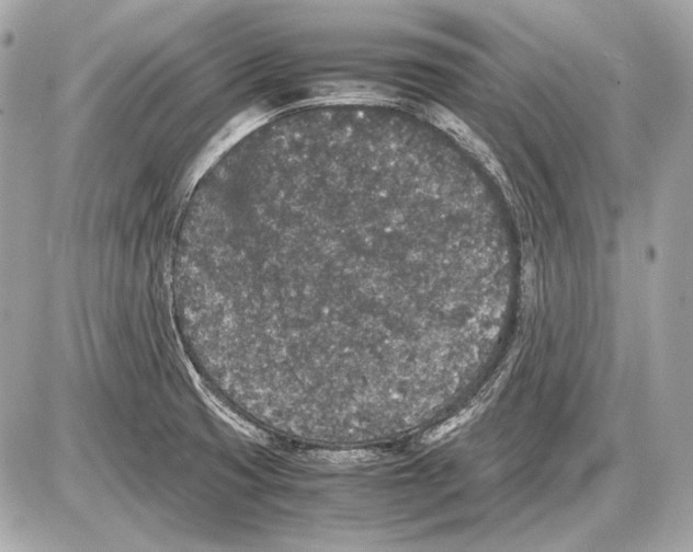 X0000085811425200704091555