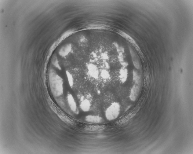 X0000085811427200704091555