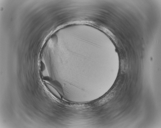 X0000085811428200704091555