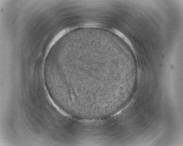 X0000085811429200704091555