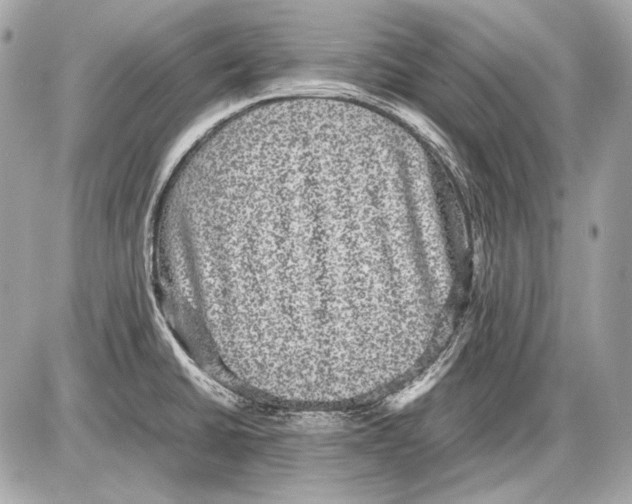 X0000085811430200704091555