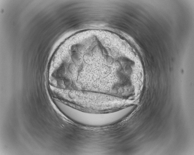 X0000085811432200704091555