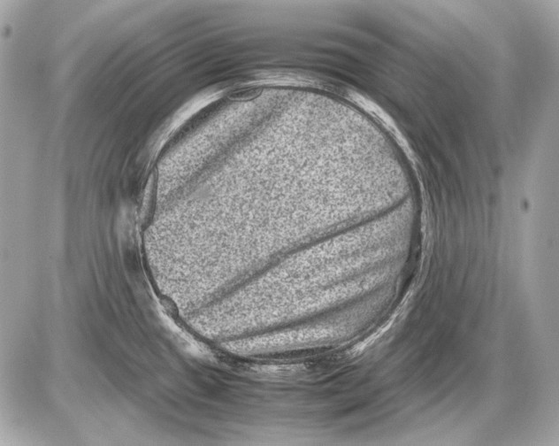 X0000085811433200704091555