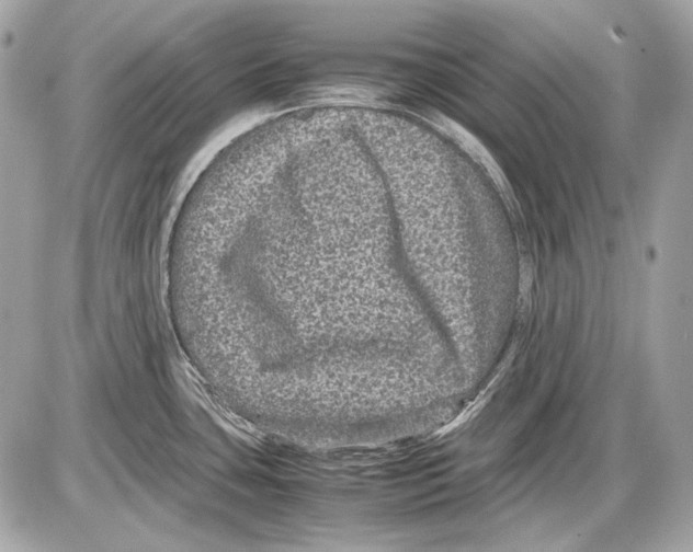 X0000085811435200704091555