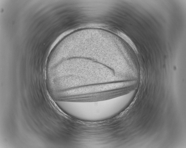 X0000085811436200704091555