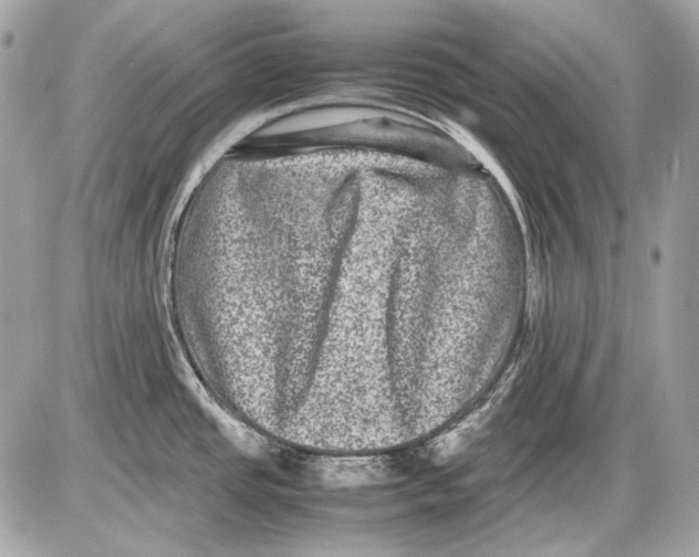 X0000085811437200704091555