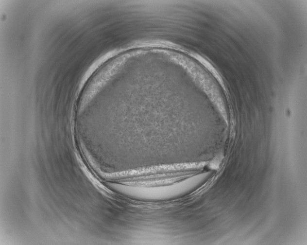 X0000085811438200704091555