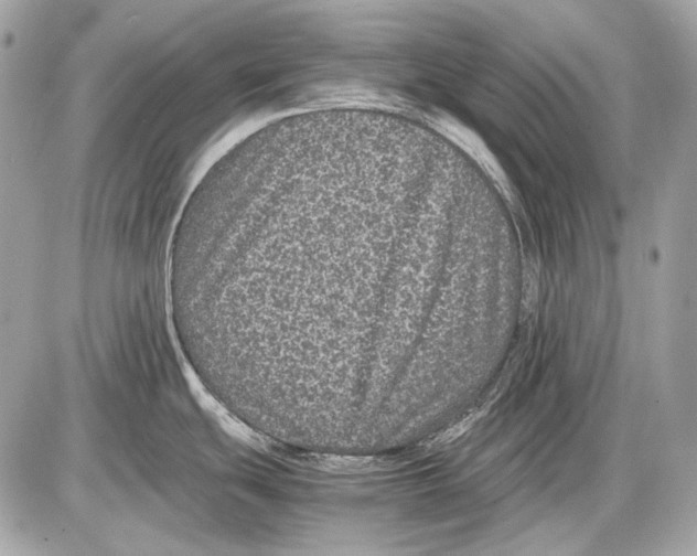 X0000085811439200704091555