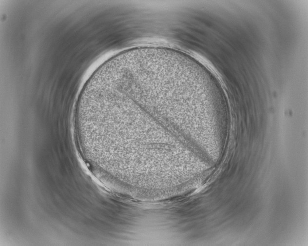 X0000085811440200704091555