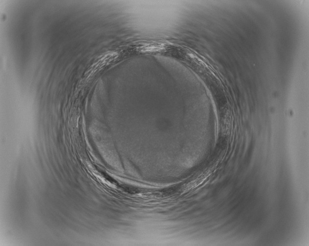 X0000085811441200704091554