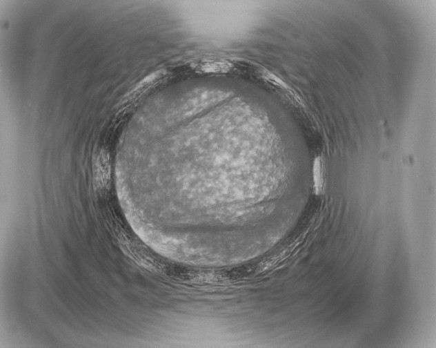 X0000085811443200704091554