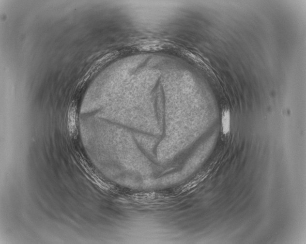 X0000085811444200704091554