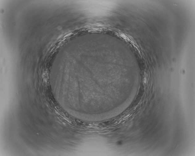 X0000085811445200704091554