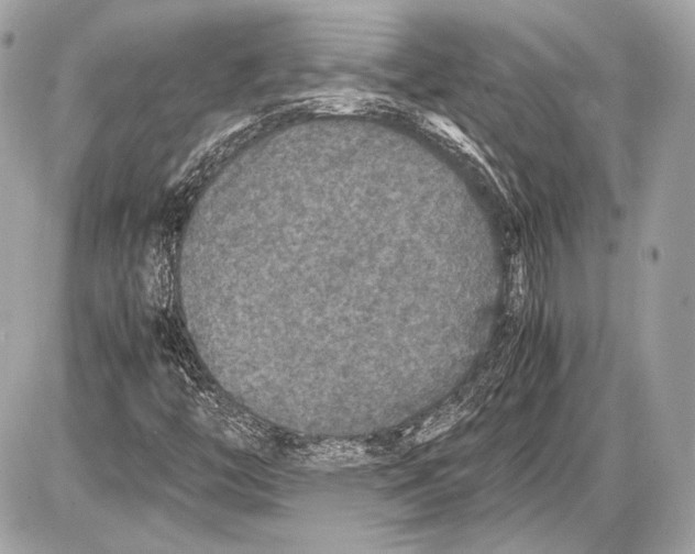 X0000085811446200704091554