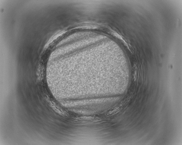 X0000085811448200704091554